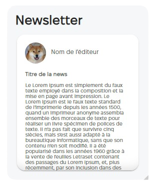 Widget Newsletters